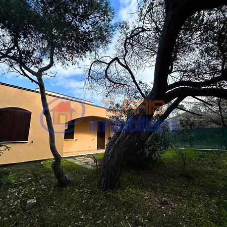 Oleandri * Platamona